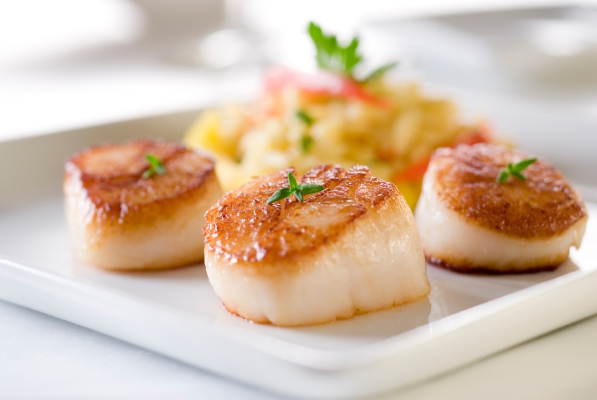 seared scallops; shellfish