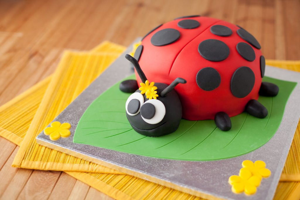 ladybird_birthday_cake_recipe; birthday_cake; how_to_make_a Kids_birthday_cake;I_love_cooking_cake