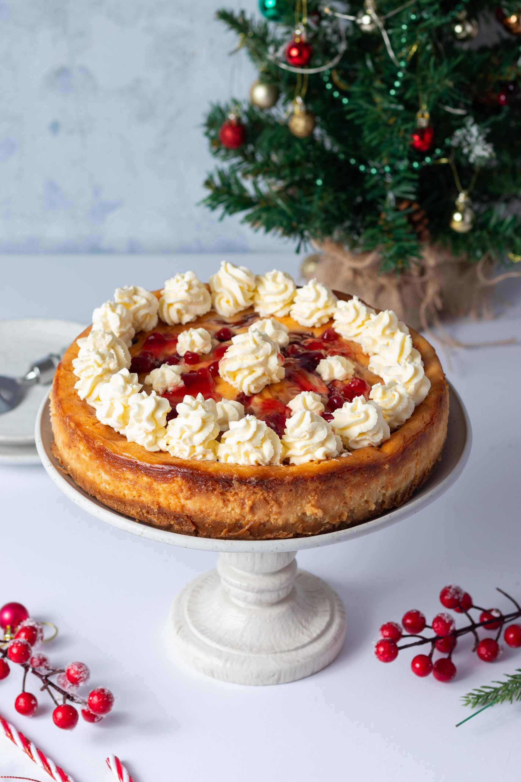 Cranberry and white chocolate baked cheesecake