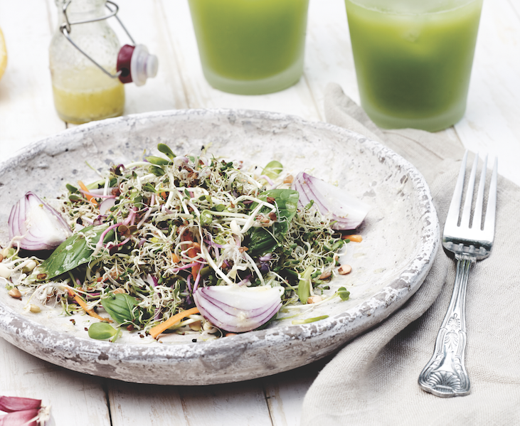 Feel-Great Sprouted Salad Bernadette Bohan