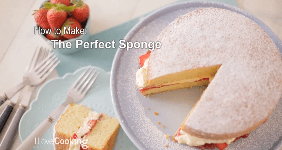 The Perfect Sponge: An Ultimate Guide: