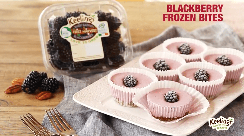 Keeling’s Blackberry Frozen Bites, I love Cooking, I love Cooking Ireland, Irish recipe website